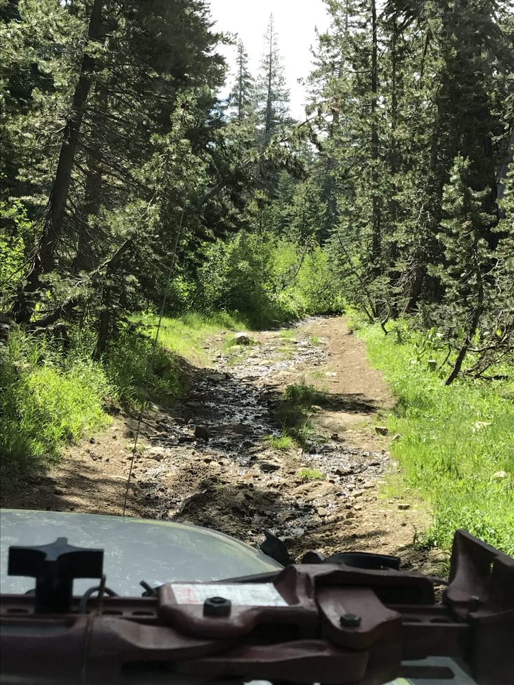 Photo from Strawberry Trail Patrol