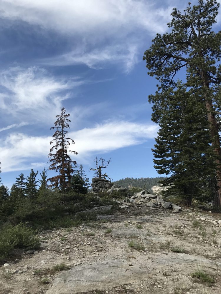 Photo from Strawberry Trail Patrol