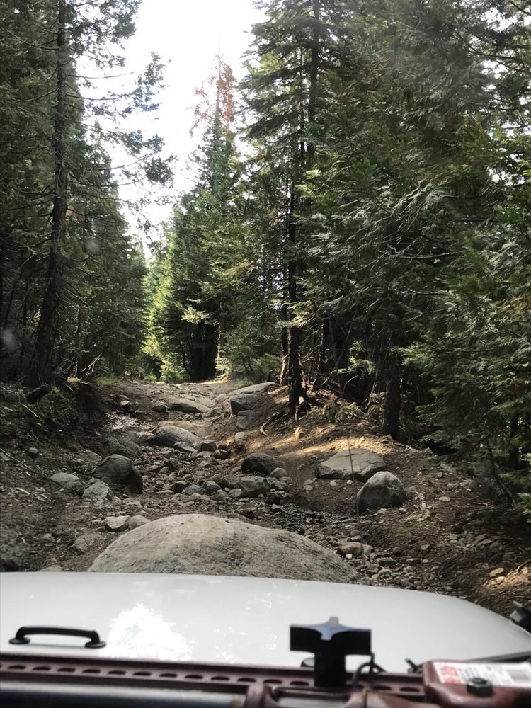 Photo from Strawberry Trail Patrol