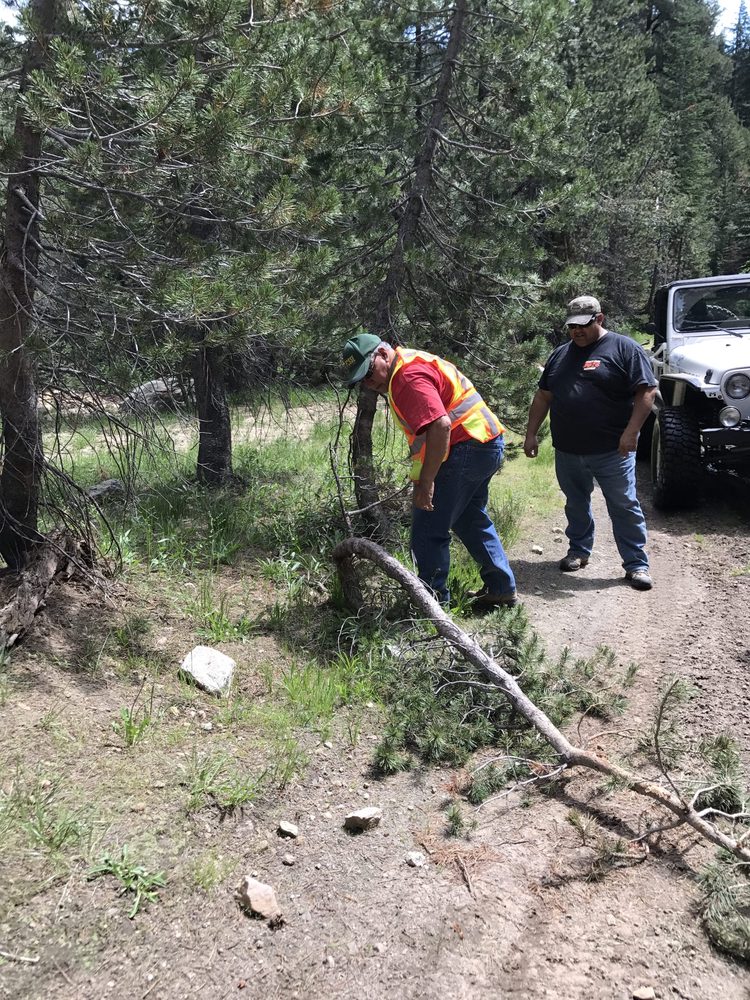 Photo from Strawberry Trail Patrol