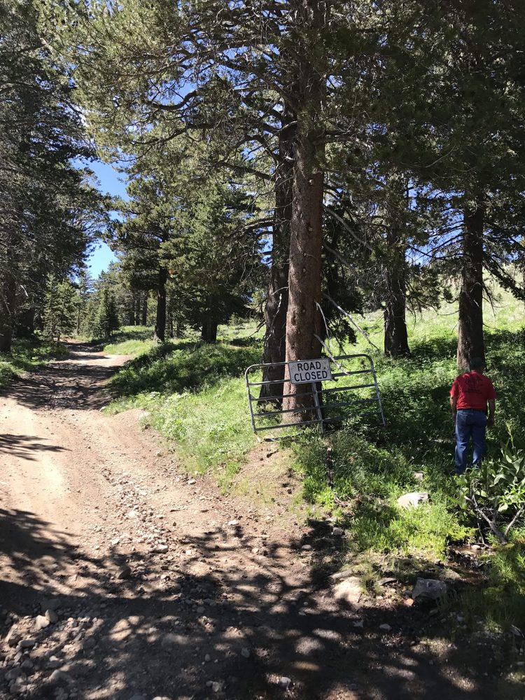 Photo from Strawberry Trail Patrol