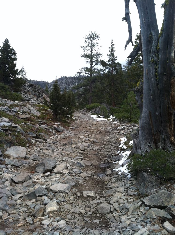 4wheeling-124