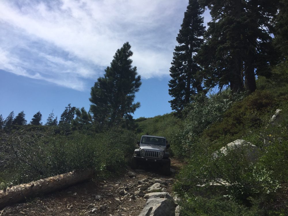 Photo from Blackwood Canyon - Ellis Peak