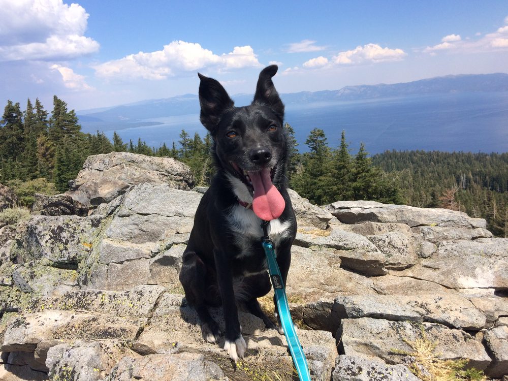 Photo from Blackwood Canyon - Ellis Peak