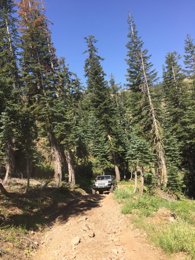 Photo from Blackwood Canyon - Ellis Peak