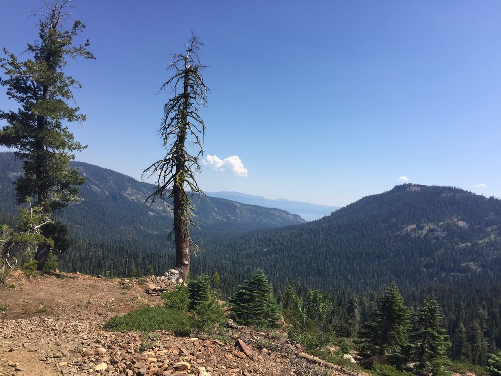 Photo from Blackwood Canyon - Ellis Peak