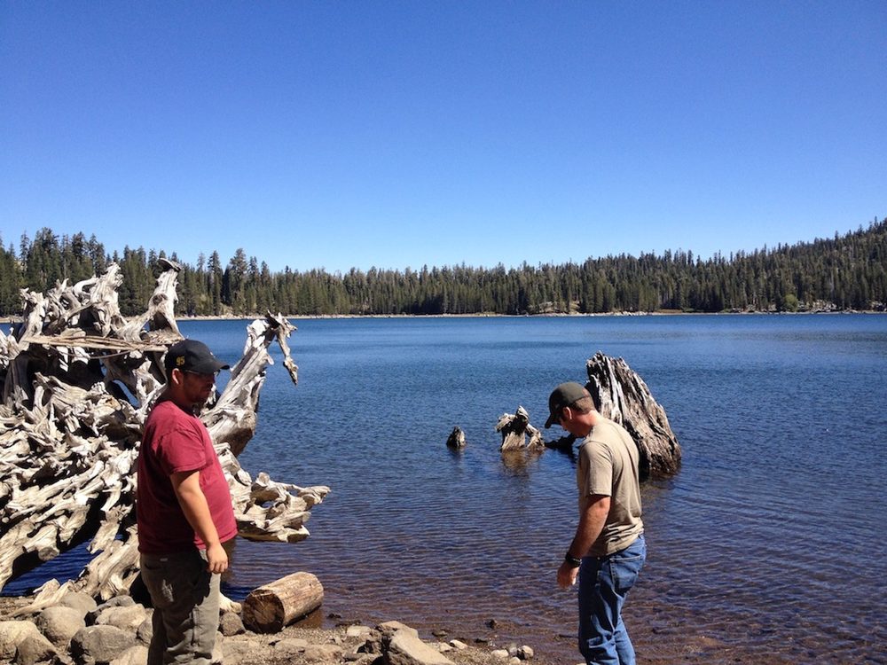 Photo from Fordyce Lake & Signal Peak
