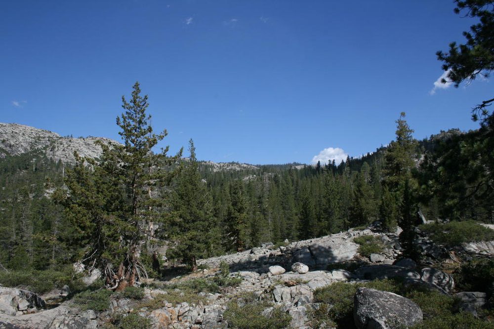 Photo from Sierra Trek