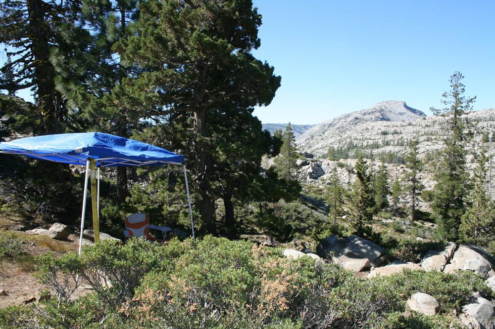 Photo from Sierra Trek
