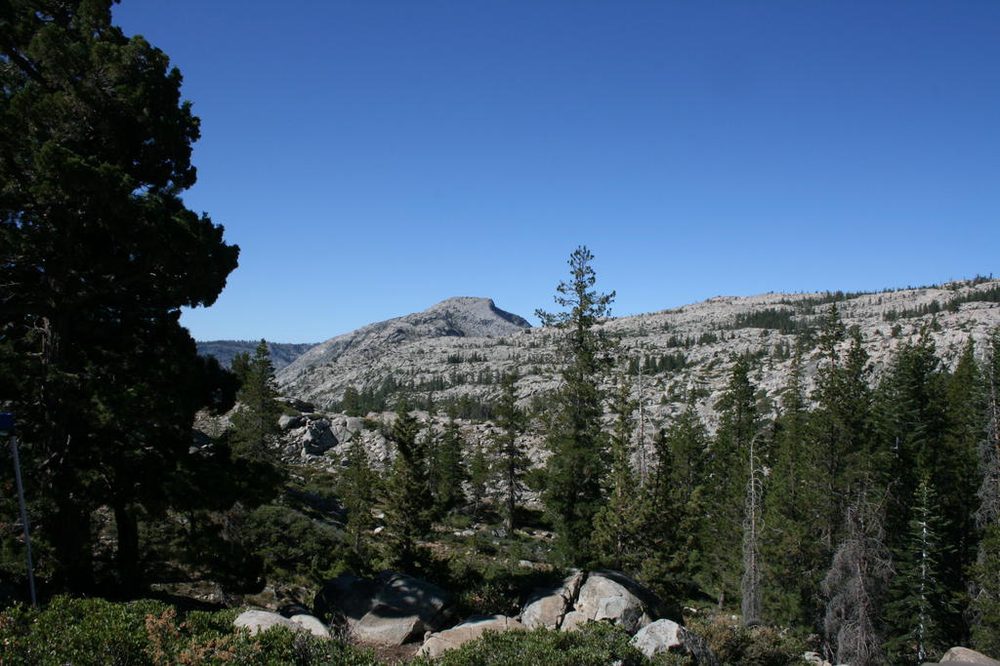Photo from Sierra Trek