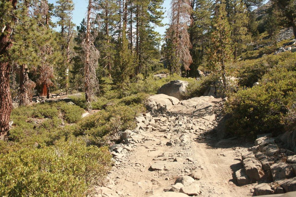 Photo from Sierra Trek