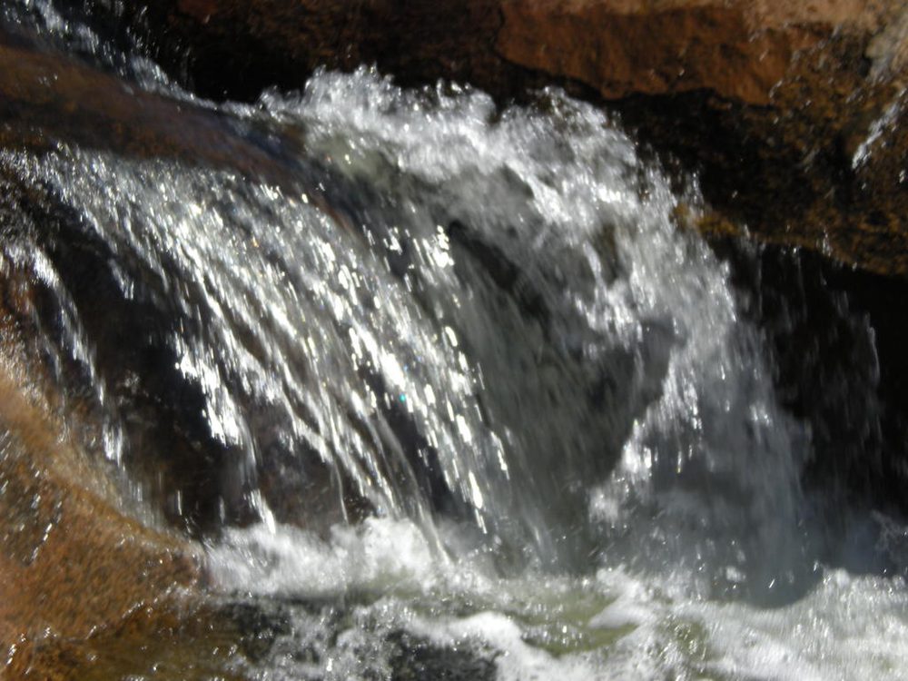 Photo from Triple Trail