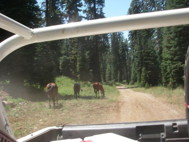 Triple_Trail_2008097