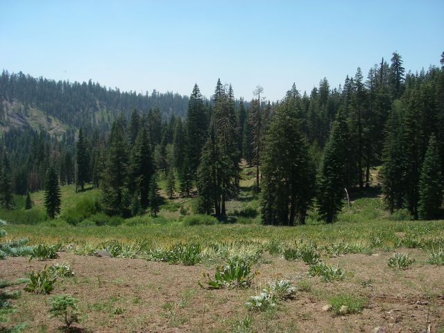Triple_Trail_2008099
