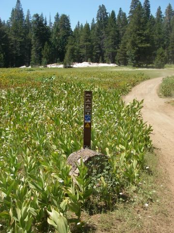 Triple_Trail_2008109