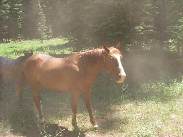 Triple_Trail_2008095