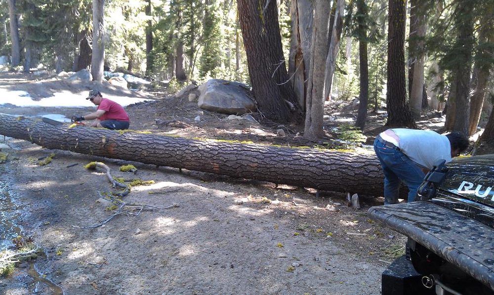 Photo from Strawberry Maintenance