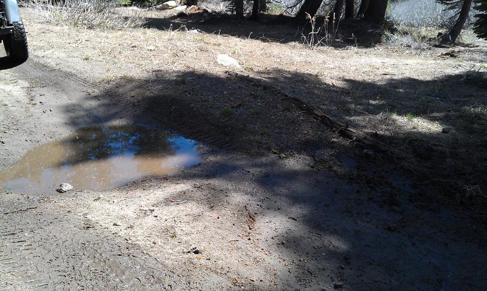Photo from Strawberry Maintenance