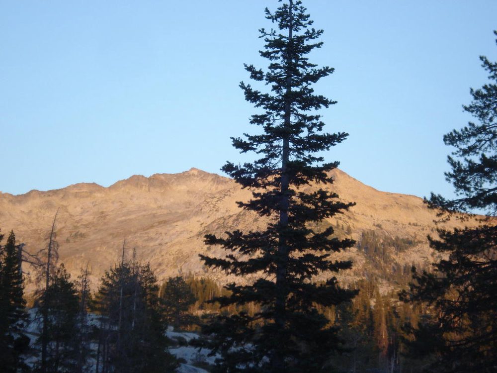 Photo from Barrett Lake Trail