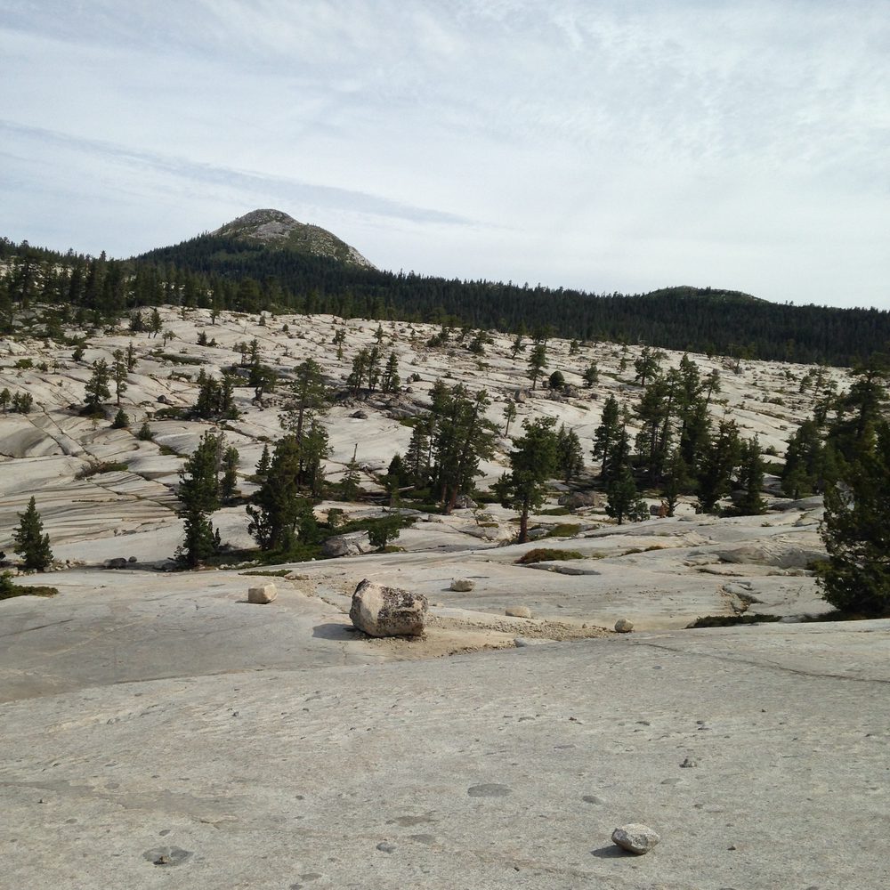 rubicon-081