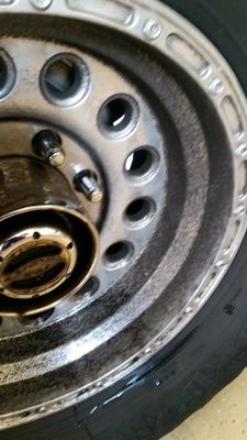 20160423_135445.jpg