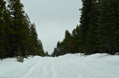DSC_0015-1.JPG
