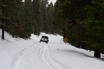 DSC_0017-1.JPG