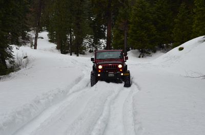 DSC_0018-1.JPG