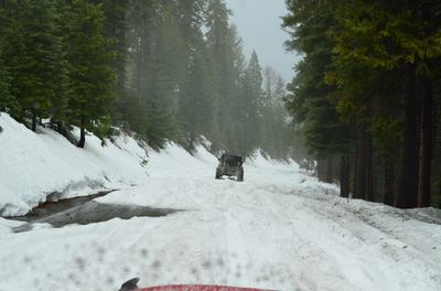 DSC_0030-1.JPG