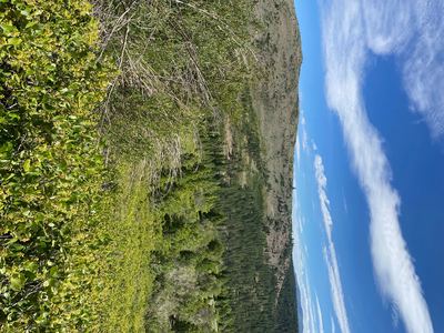 IMG_5294.jpeg