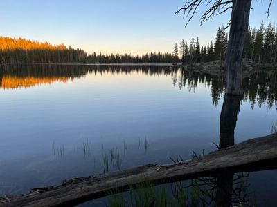 IMG_3326.jpg