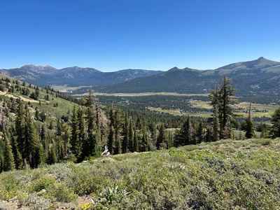 IMG_3400.JPG