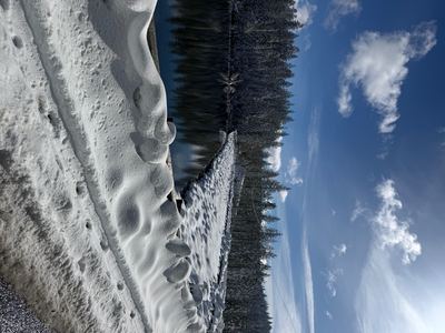 IMG_4300.jpeg