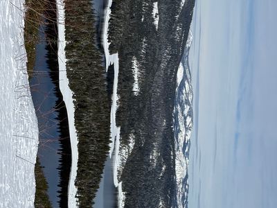 IMG_4359.jpeg