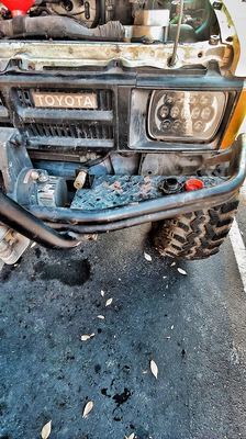20181022_164818_HDR-01.jpeg