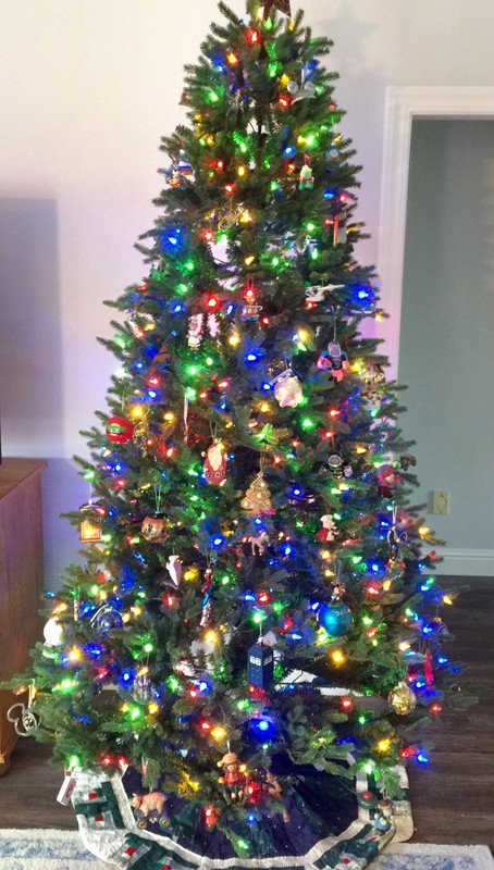 https://i.postimg.cc/2jQyBZqP/tree.jpg