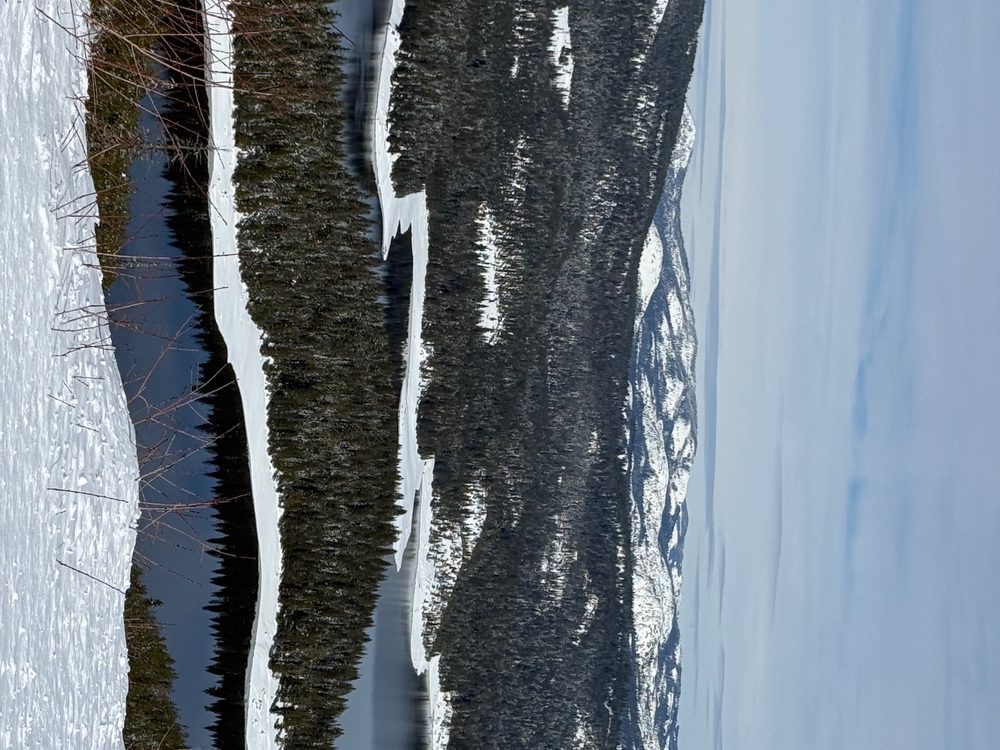 IMG_4359.jpeg