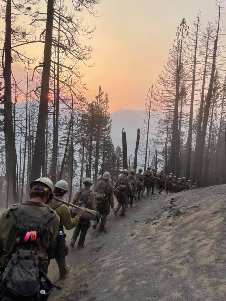 trail.jpg