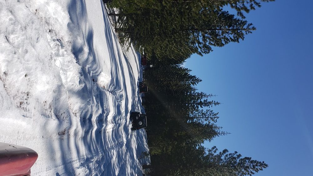 20220129_121725.jpg