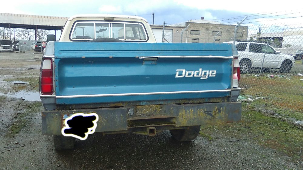 KIMG0331.JPG