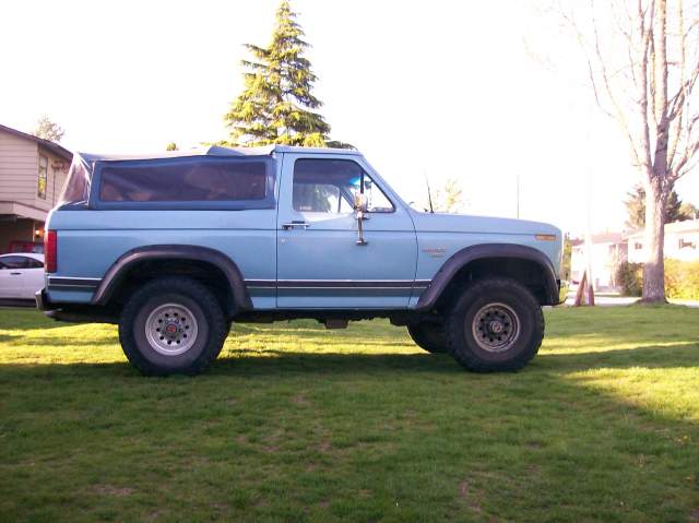 67711=2799-Bronco.jpg