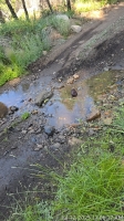 TimePhoto_20250712_110617-1.jpg