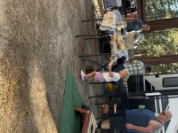 IMG_5118.jpeg
